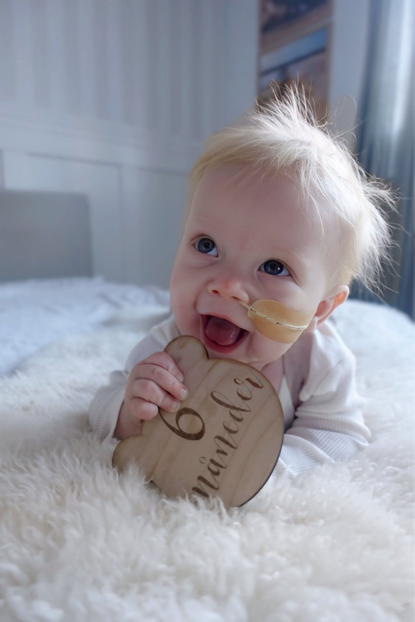 Bamse - Milepælsbrik