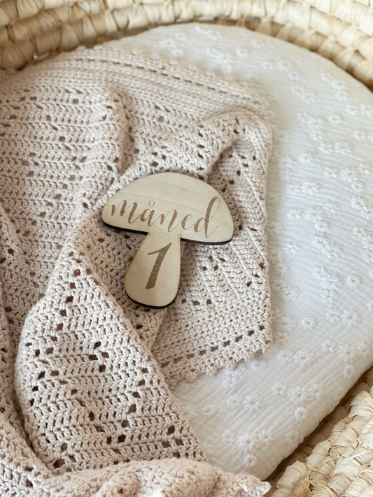 Svamp - Milepælsbrik